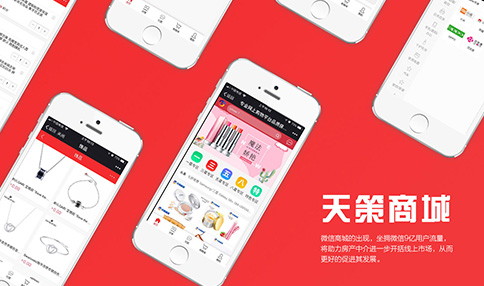 <b>天策商城</b>
